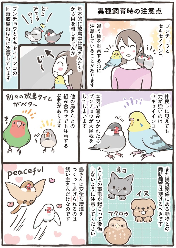 安全な環境を作ってあげられるのは飼い主さんだけなのです （C）鳥野 ニーナ、寄崎 まりを／KADOKAWA