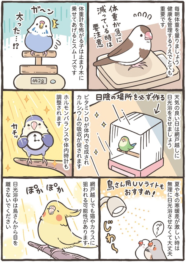 日光浴中は鳥さんから目を離さないでください （C）鳥野 ニーナ、寄崎 まりを／KADOKAWA