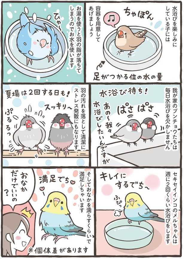 おなかだけでいいの？ （C）鳥野 ニーナ、寄崎 まりを／KADOKAWA