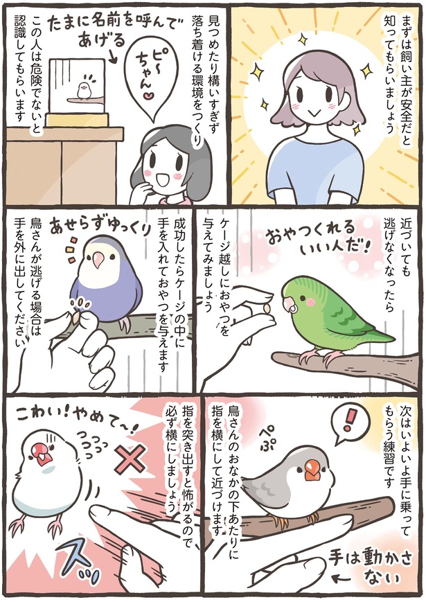 飼い主が安全だと知ってもらいましょう