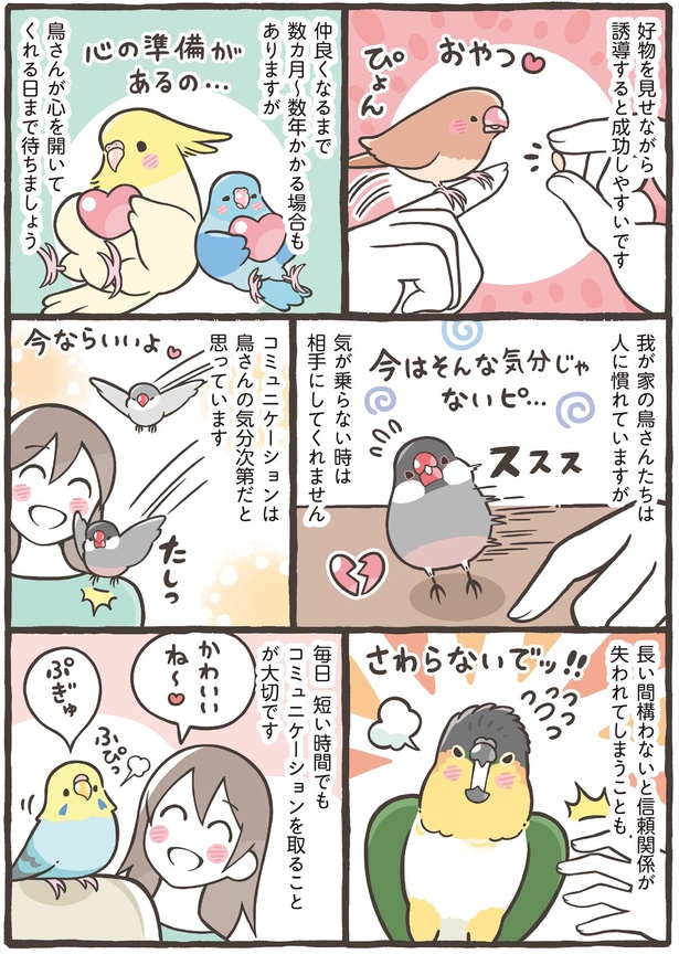 コミュニケーションは鳥さんの気分次第だと思っています