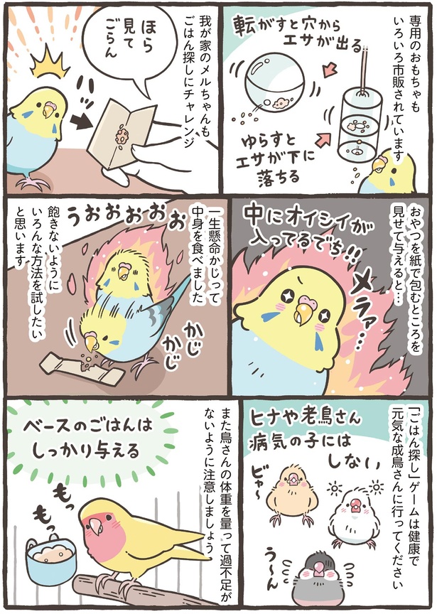 健康で元気な成鳥さんに行ってください