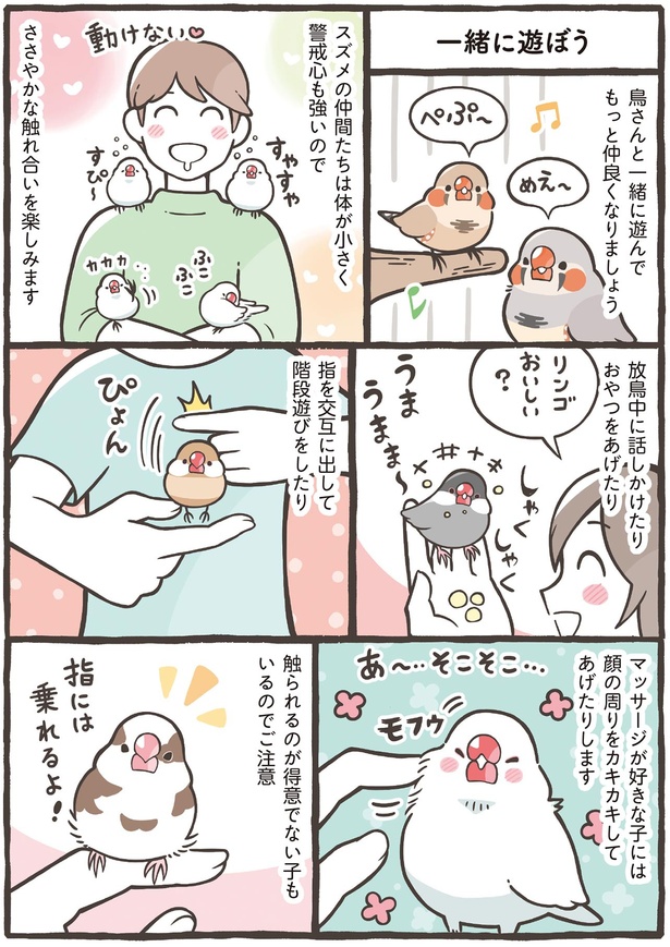 ささやかな触れ合いを楽しみます