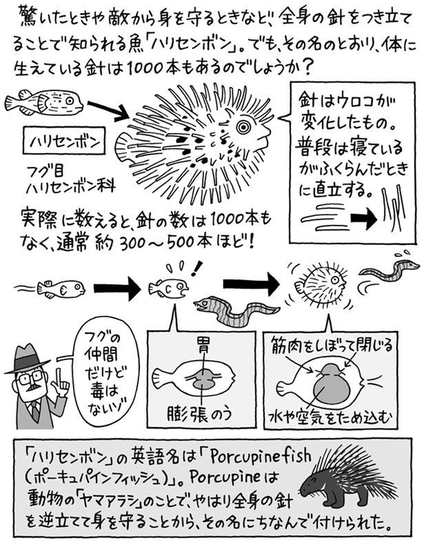 実際に針の数は1000本もない