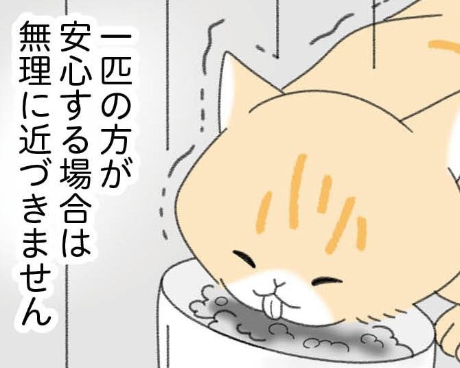 【ネコ漫画】人間にいじめられていた猫を保護。心を開いてもらうために行ったこととは？「1日1ミリずつ仲良くなろうの精神が大切」