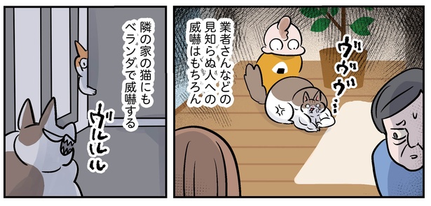 7話P3-3