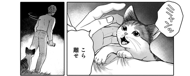 「猫語の教科書」より