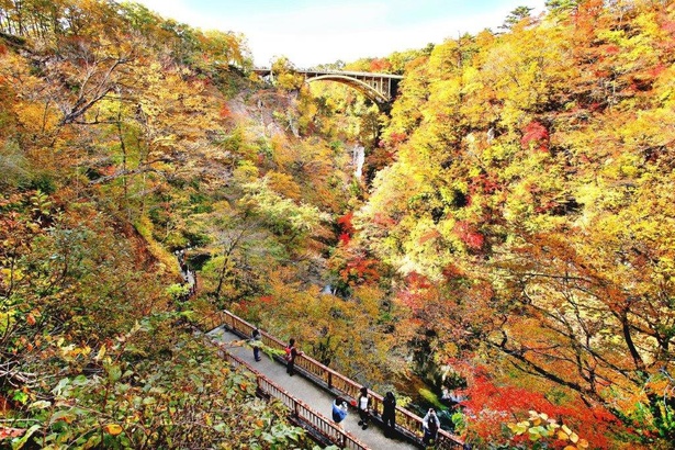 高さ約100メートルの渓谷に広がる紅葉は圧巻／鳴子峡の紅葉