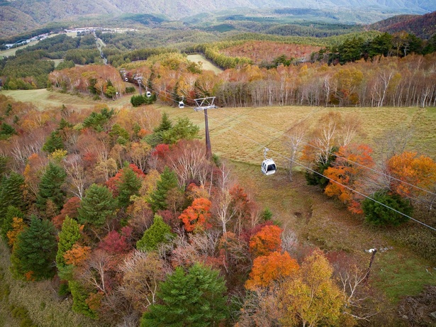 ゴンドラの周りには紅葉の絶景が広がる／ハンターマウンテン 紅葉ハンターゴンドラの紅葉