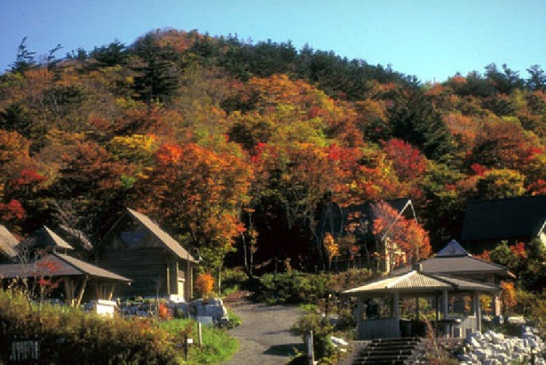 美味しい空気と珍しい高山植物を見ながら紅葉を楽しめる／天狗高原の紅葉