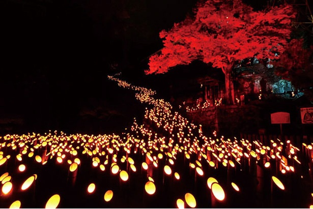 竹楽の一番の見どころといわれる十六羅漢。3,000本もの竹灯籠が一帯を覆うように灯る