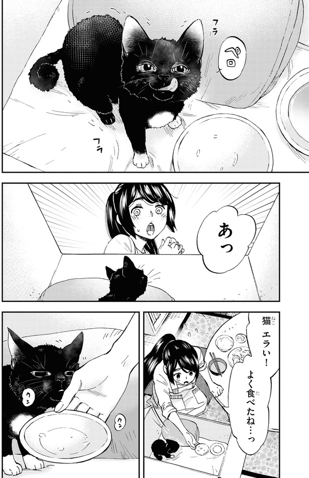 猫エラい！