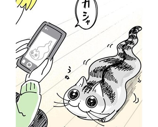 【ネコ漫画】スマホで愛猫のかわいすぎる瞬間を思わずパシャリ！写真に癒やされる飼い主＆SNSで7.4万いいね