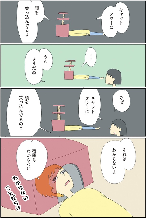 わからないことだらけ