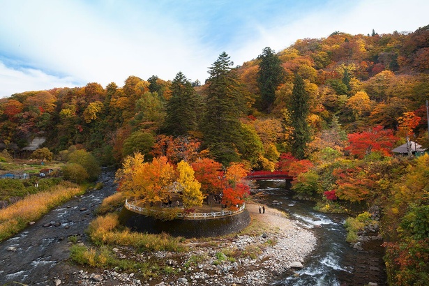 渓流のさざめきを聞きながら紅葉を眺められる／中野もみじ山の紅葉