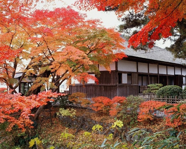 古式ゆかしい建物に紅葉が映える／観瀾亭(松島)の紅葉