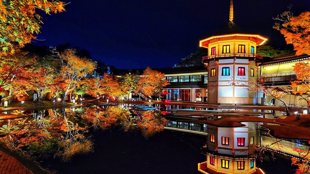 紅葉と十角三重塔の織りなす「宮城県松島離宮 紅葉＆ライトアップ」／宮城県 松島離宮の紅葉