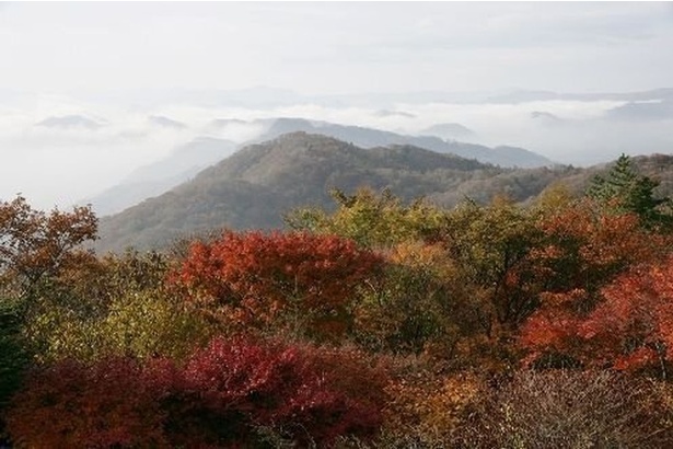 見渡す限りの紅葉が続く／軽井沢(旧碓氷峠見晴台)の紅葉