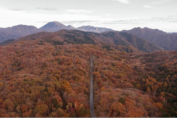 見頃時期の景観／古峰ヶ原高原の紅葉