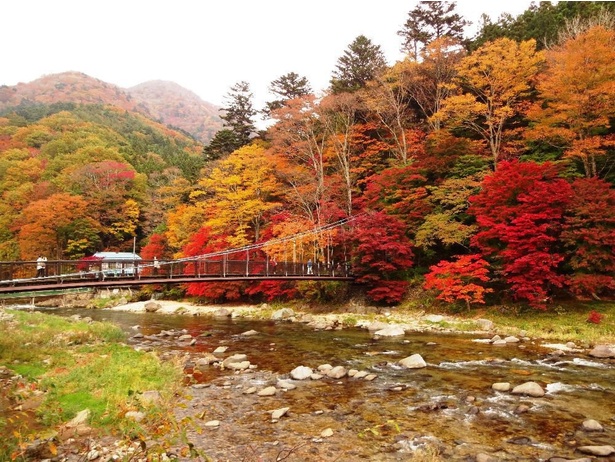 色鮮やかな紅葉と川の風景が美しい／塩原の紅葉