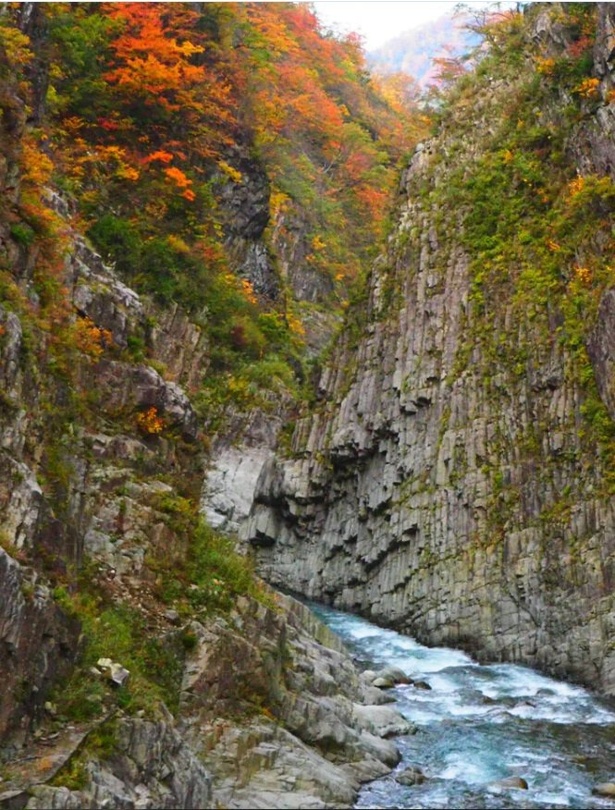 切り立つ崖に色づく紅葉が自然の作り出す絶景だ／清津峡の紅葉