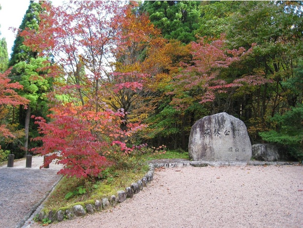 南･北展望台からの景色は必見／岡山県立森林公園の紅葉