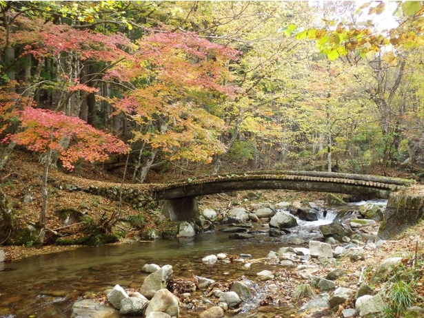 散策しながら紅葉を楽しめる／芦津渓谷の紅葉