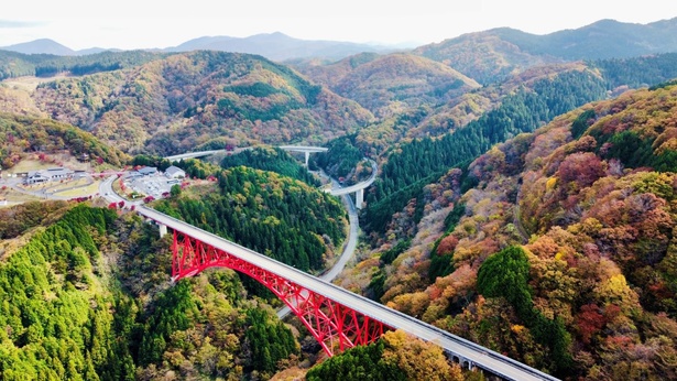 ループ橋を走り抜けながら眺める紅葉は絶景だ／奥出雲おろちループの紅葉