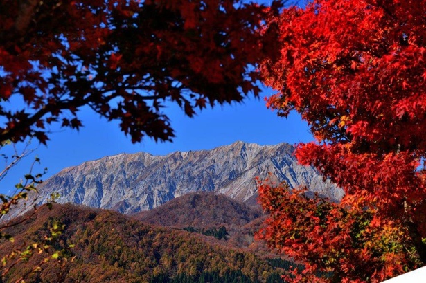 休憩所から見た赫山の紅葉／蒜山高原の紅葉