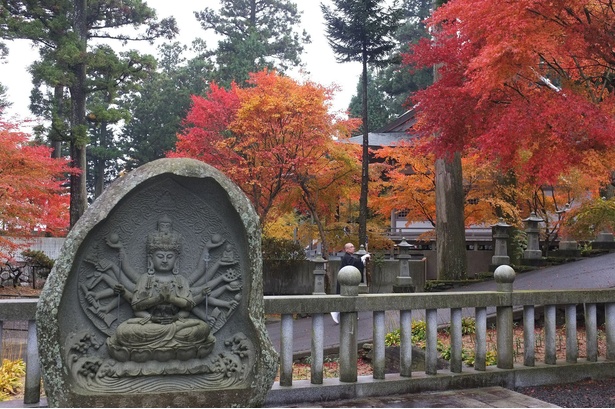 雲辺寺は別名「四国高野」とも呼ばれる／雲辺寺の紅葉