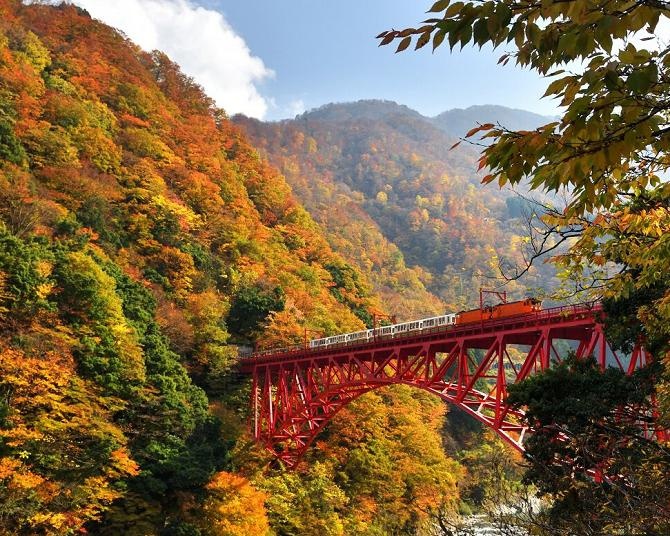 今週末(11月9～10日)の紅葉見頃はここ！まもなく見頃を迎えそうな全国の紅葉名所ガイド