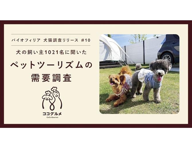 割高でも旅に愛犬を同伴させたい飼い主が8割以上。1頭につき1回10万円以上かける人も