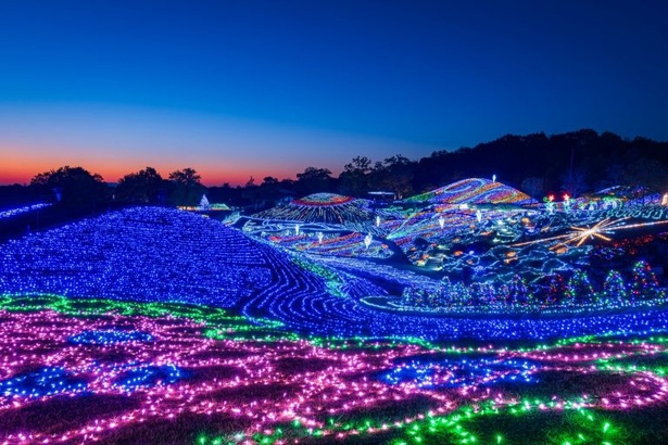 国営讃岐まんのう公園 ウィンターファンタジー(香川県仲多度郡まんのう町)