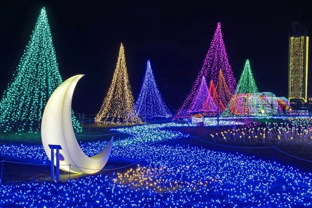 マザー牧場イルミネーション「光の花園」(千葉県富津市)