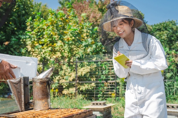 「高杉さん家のおべんとう」より