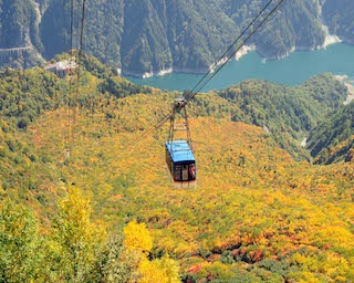 秋！彩り鮮やかに広がる紅葉の絨毯！「立山黒部アルペンルート」のロープウェイで紅葉飛行しよう