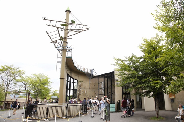 旭山動物園・「てながざる館」/高さ14メートルの鉄塔が備えられた屋外放飼場
