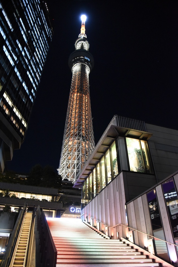 東京スカイツリーのライティング「幟」と色味を合わせた階段グラフィカルライティング