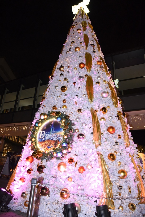 高さ8メートルのクリスマスツリー