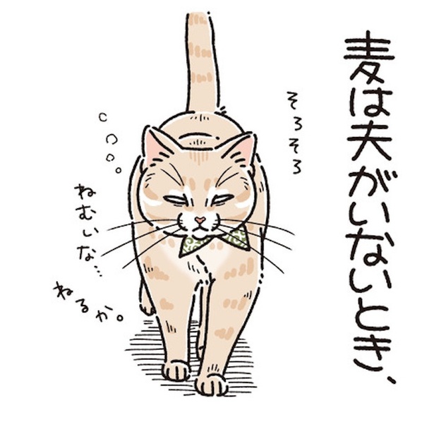 猫用こたつであたためていた話(3)