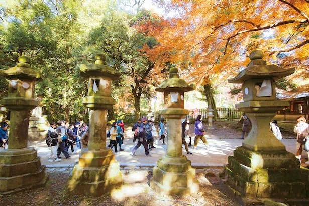 春日大社参道