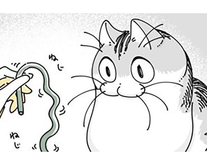 【ネコ漫画】ウネウネ動く長いひもに興味津々な愛猫!?その姿に「表情がかわいすぎる」などコメントが殺到！