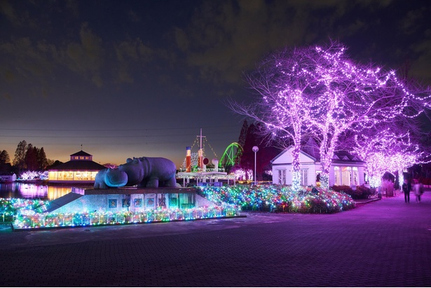 迫力のイルミネーションショーを展開する／東武動物公園ウインターイルミネーション 2024-2025