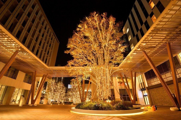 温かみのある光が幻想的な空間を演出　※画像はイメージ／Lights of Nature