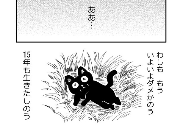 【漫画】「拾ってくれた女の子の幸せを願う老猫のハナシ」を読む