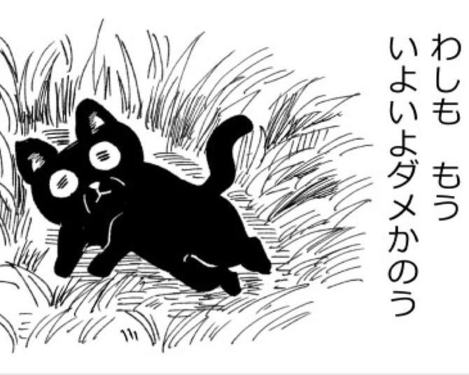 15歳の老齢猫を保護！「一匹と一人がニコイチになる瞬間」を描きたかった!!「寂しがり」な飼い主をおいて死ねない猫の姿に号泣必須！【作者に聞く】