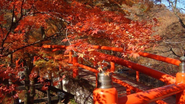 河鹿橋の辺り一面が朱色に染まる／伊香保温泉