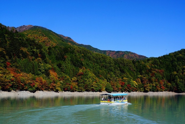 渡船に乗って湖周辺の紅葉を楽しめる／井川湖