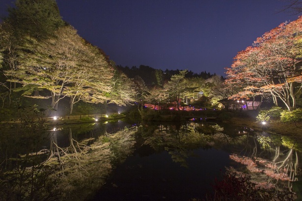 夜間にはライトアップも楽しめる／六甲高山植物園