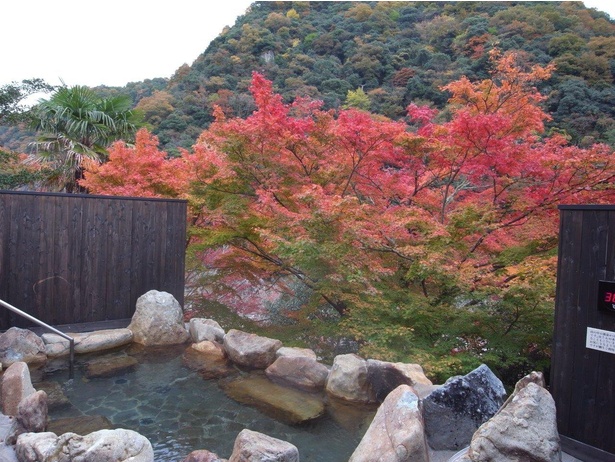 大浴場露天風呂から眺める紅葉が鮮やか／武田尾温泉